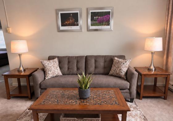 Furnished living room with coffee table in a J.E. apartment